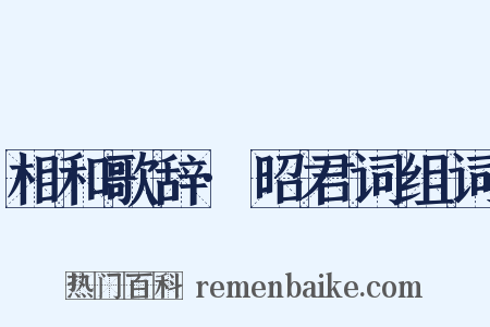 相和歌辞·昭君词组词是什么意思的图片